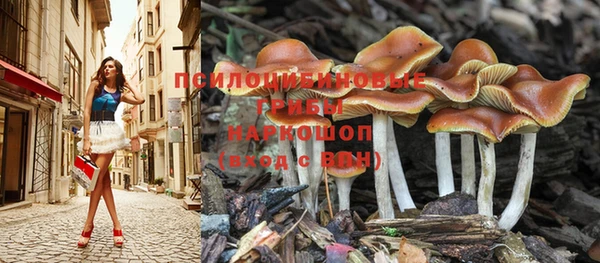 марихуана Абаза