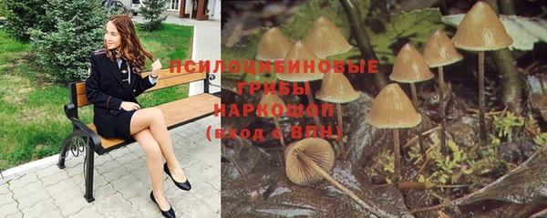прущие крисы Алексеевка